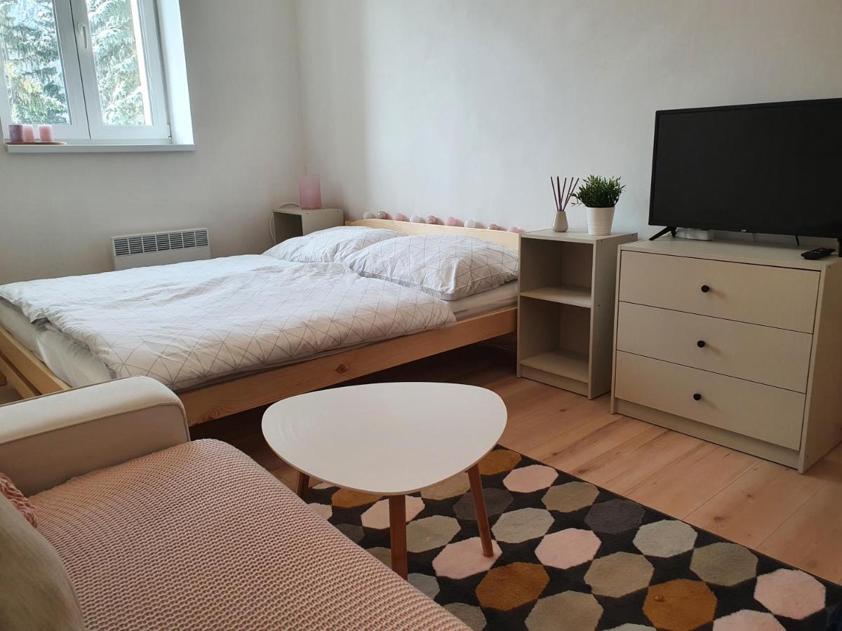 Apartmany Brachovna Mikulov v Krusnych Horach Luaran gambar